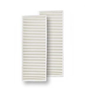 Central Vac Carbon Dust Filter 2 Pk