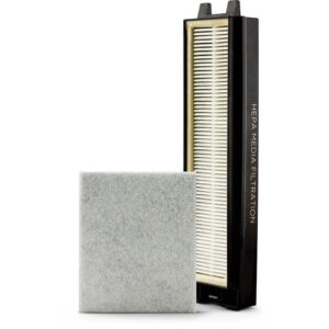 Riccar R25D HEPA Media And Charcoal Filter Set