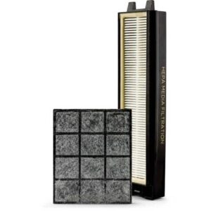 Riccar R25P HEPA And Granulated Charcoal Filter Set